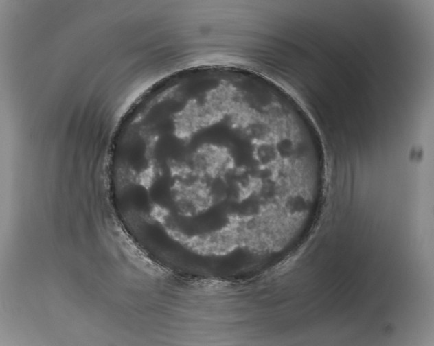 X0000114620783200911171056