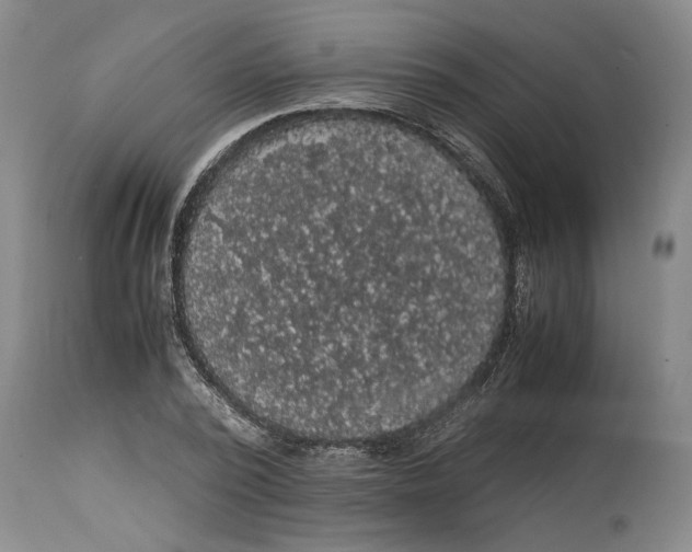 X0000114620784200911171056