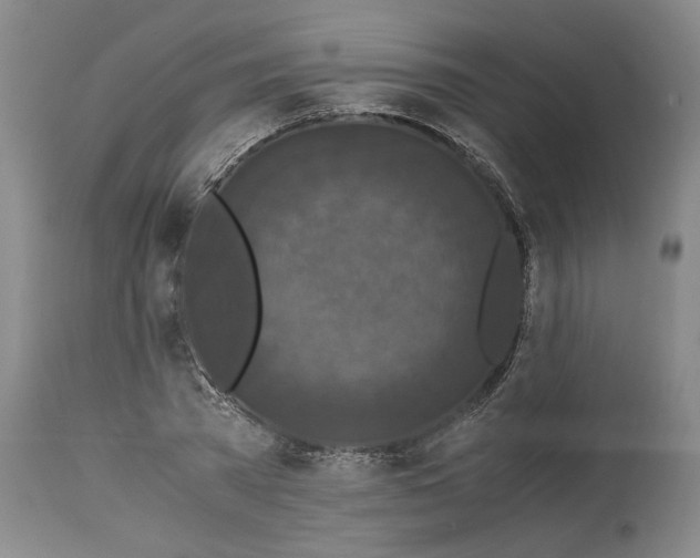 X0000114620785200911171056