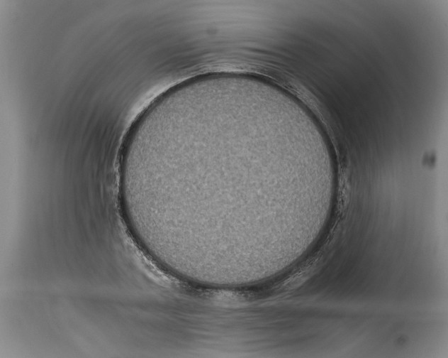 X0000114620787200911171056