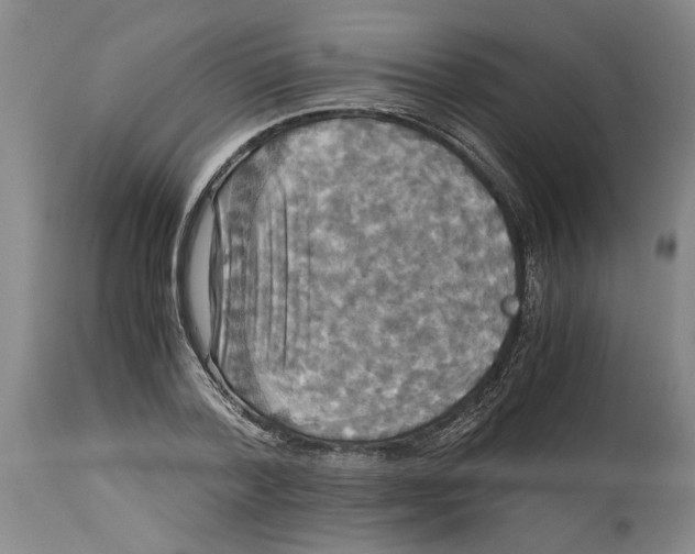 X0000114620788200911171056