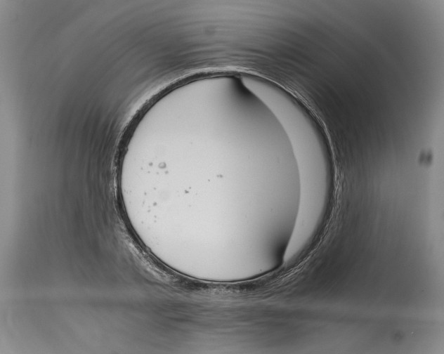 X0000114620789200911171056