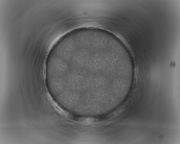 X0000114620791200911171056