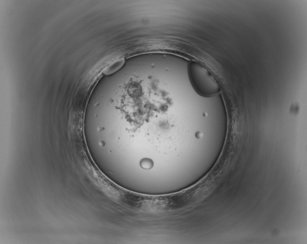 X0000114620793200911171056