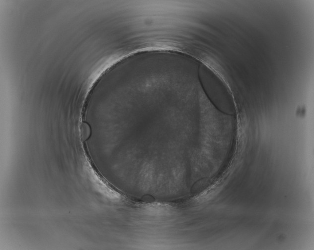 X0000114620797200911171056