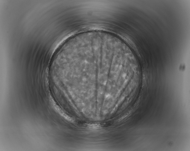 X0000114620798200911171056