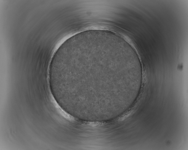 X0000114620803200911171056