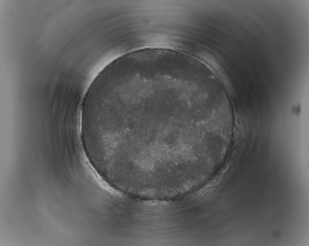 X0000114620804200911171056