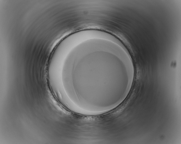 X0000114620806200911171056