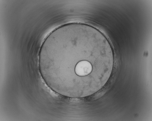 X0000114620807200911171056