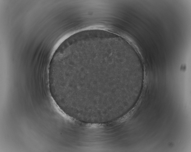 X0000114620808200911171056