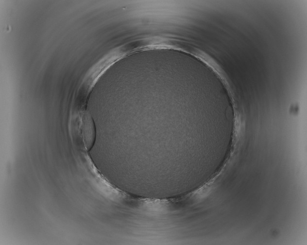 X0000114620809200911171056