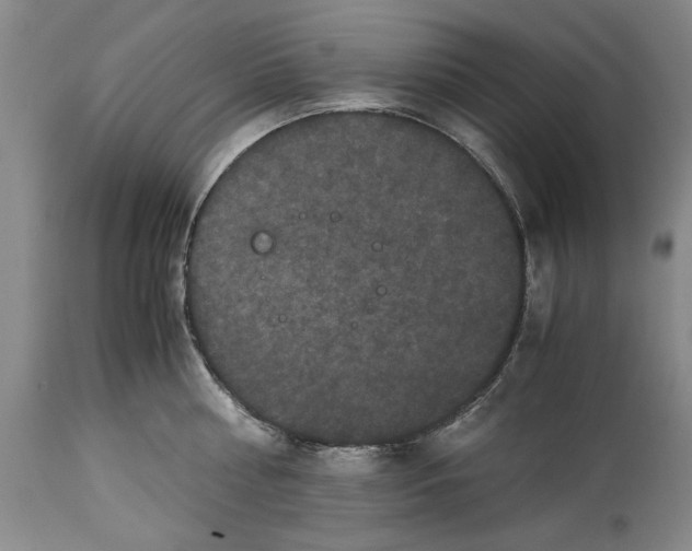 X0000114620810200911171056