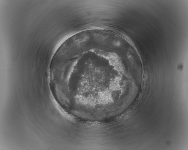 X0000114620811200911171056