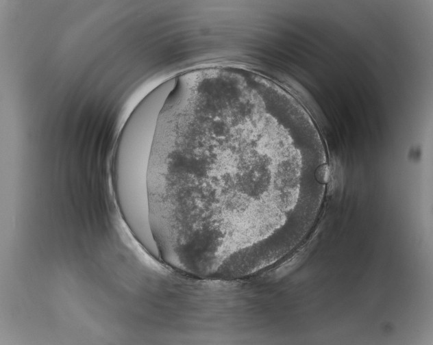 X0000114620812200911171056