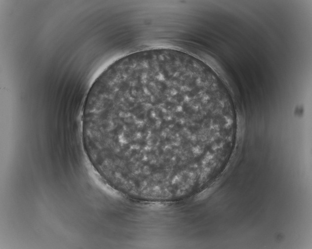 X0000114620814200911171056