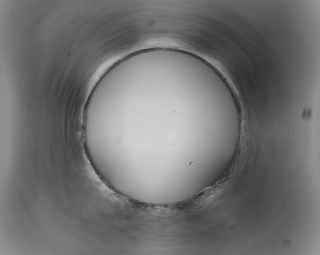 X0000114620815200911171056