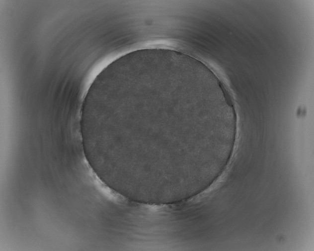 X0000114620816200911171056