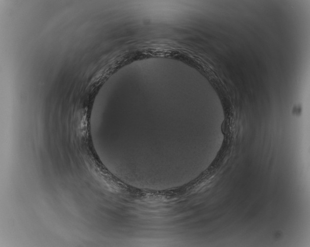 X0000114620818200911171055