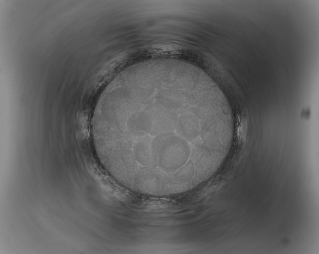 X0000114620819200911171055