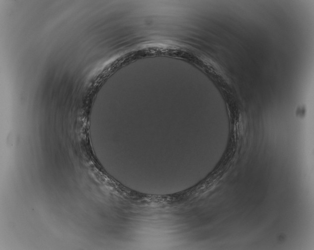 X0000114620822200911171055