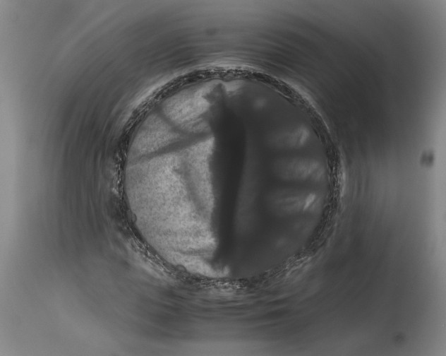 X0000114620823200911171055