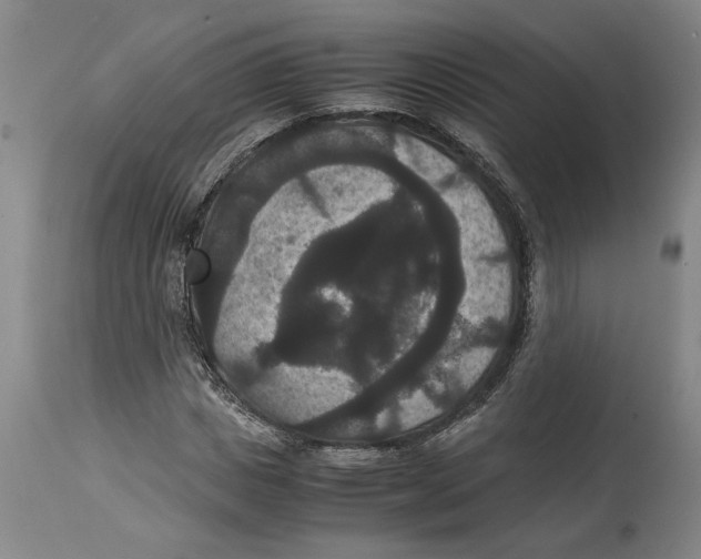 X0000114620825200911171055