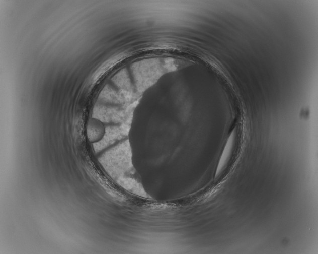 X0000114620826200911171055