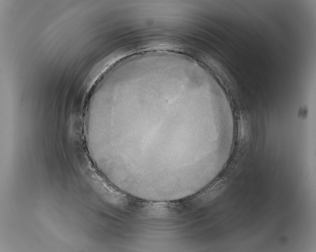 X0000114620828200911171055