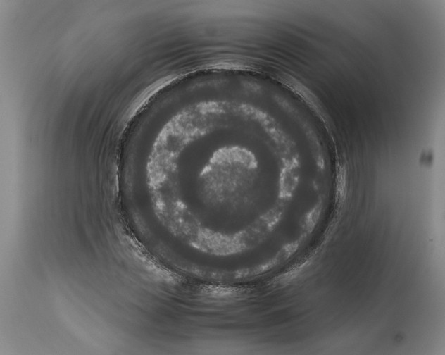 X0000114620829200911171055