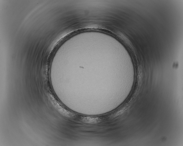 X0000114620831200911171055