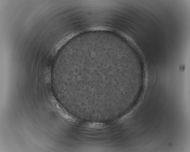 X0000114620833200911171055