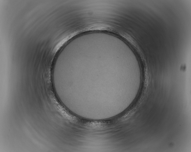 X0000114620834200911171055