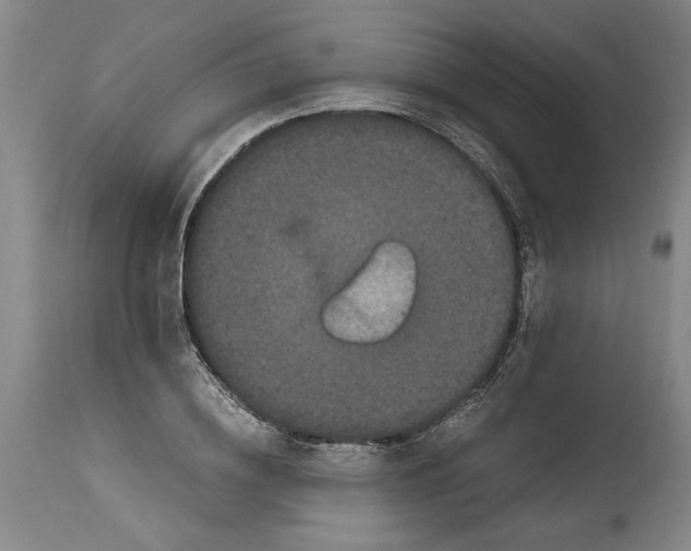 X0000114620836200911171055