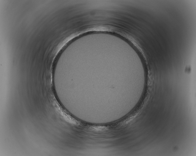 X0000114620837200911171055