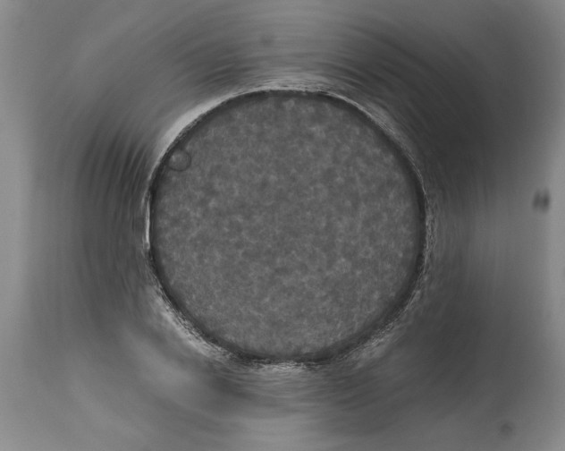 X0000114620838200911171055