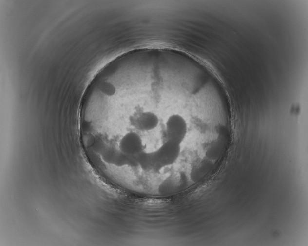 X0000114620839200911171056