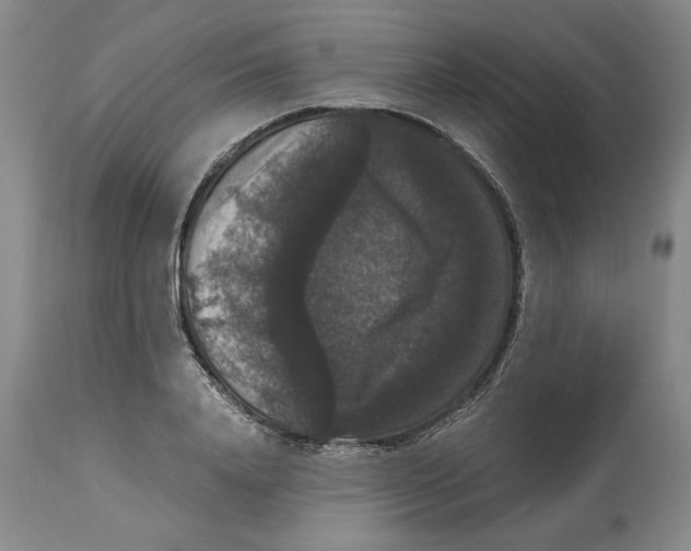 X0000114620840200911171056