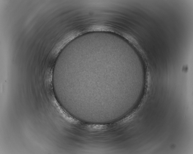 X0000114620841200911171056