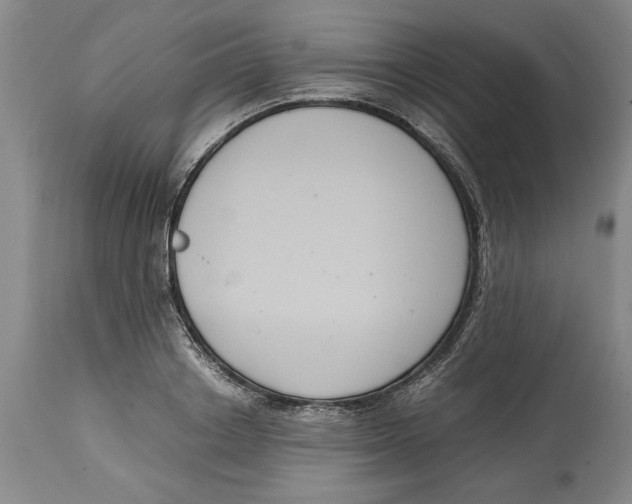 X0000114620842200911171056