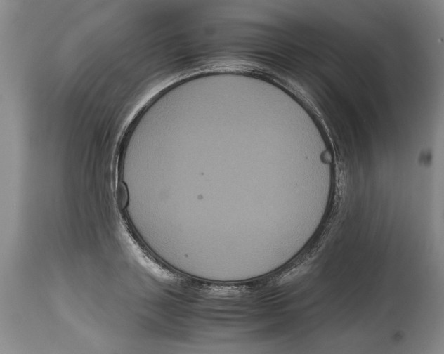 X0000114620843200911171056