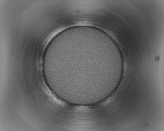 X0000114620846200911171056