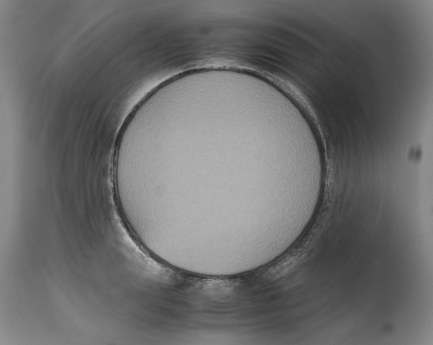 X0000114620847200911171056