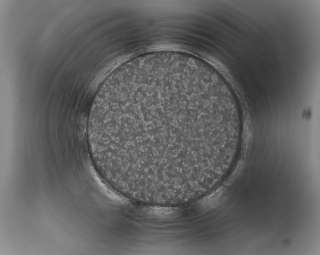 X0000114620849200911171056