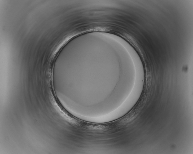 X0000114620851200911171056