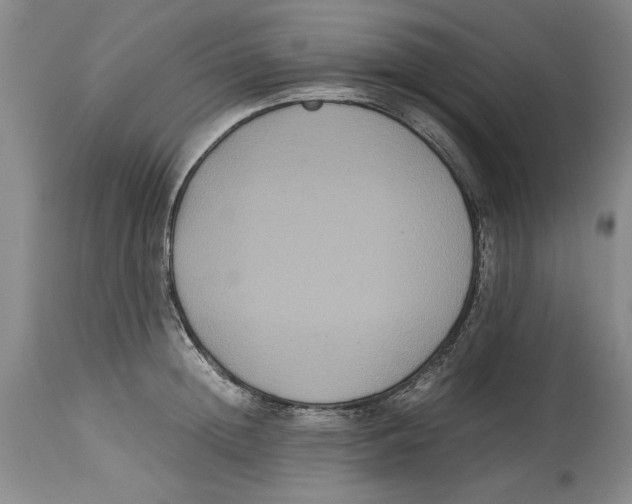 X0000114620852200911171056