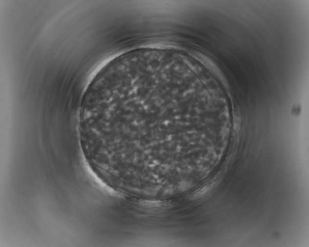 X0000114620855200911171056