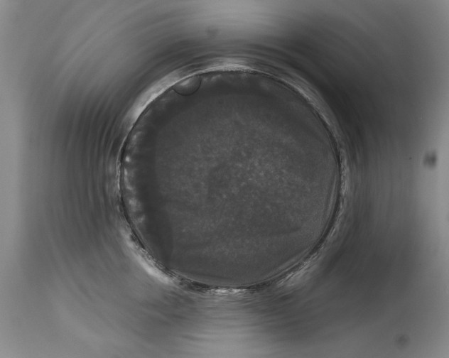 X0000114620858200911171056