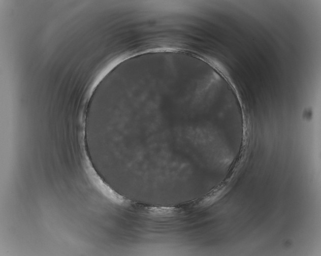 X0000114620859200911171056