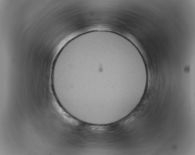 X0000114620861200911171056